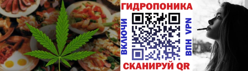 дарк нет официальный сайт  Острогожск  Canna-Cookies марихуана  сколько стоит 