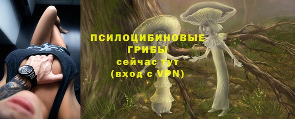 МДПВ Вязьма