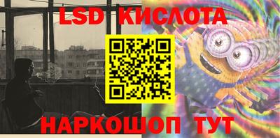 прущие грибы Кингисепп