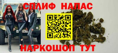 прущие грибы Кингисепп