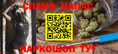 прущие грибы Кингисепп